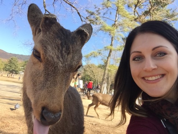 deer selfie