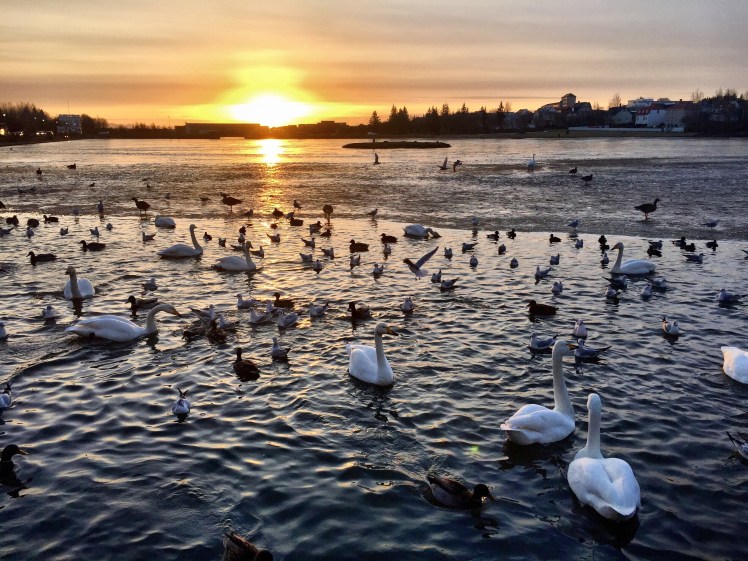 Processed with Rookie Cam