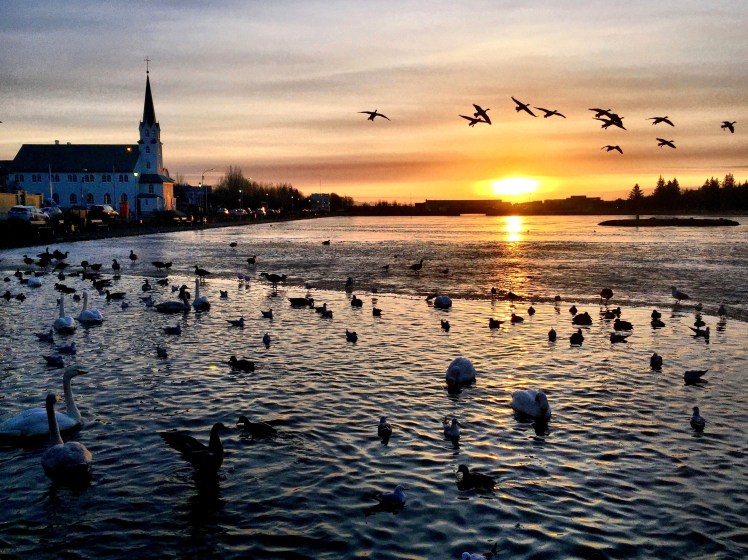 Processed with Rookie Cam