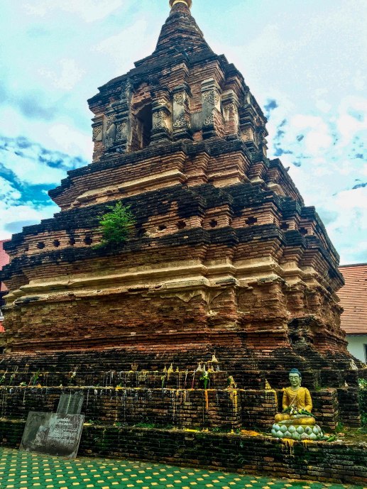 IMG_9709CherryBlossom2016