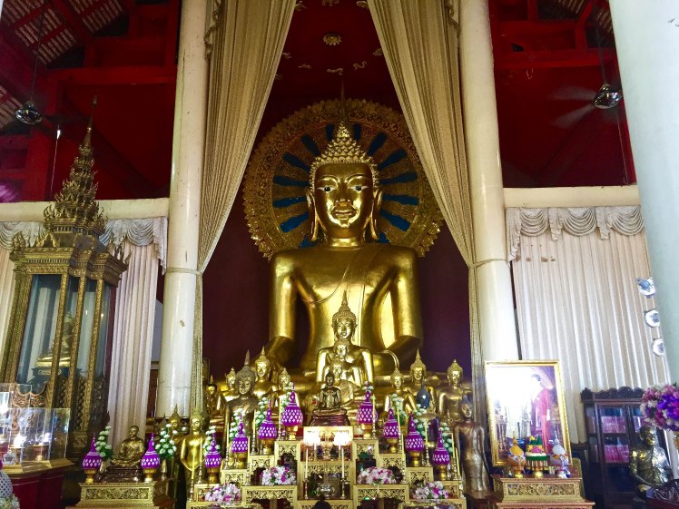 IMG_9721CherryBlossom2016