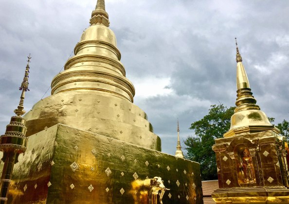 IMG_9724CherryBlossom2016