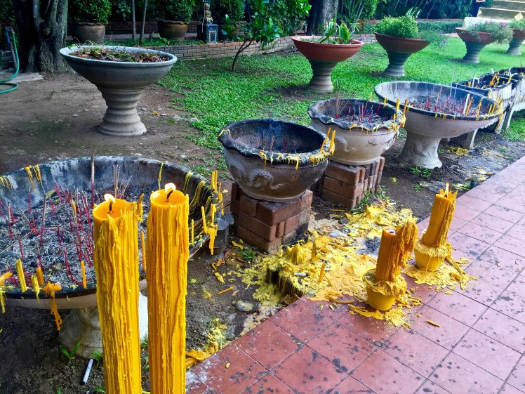 IMG_9731CherryBlossom2016