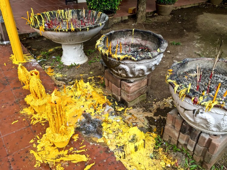 IMG_9734CherryBlossom2016