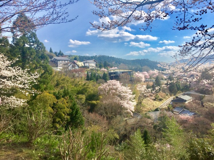 FullSizeRender 48.jpg